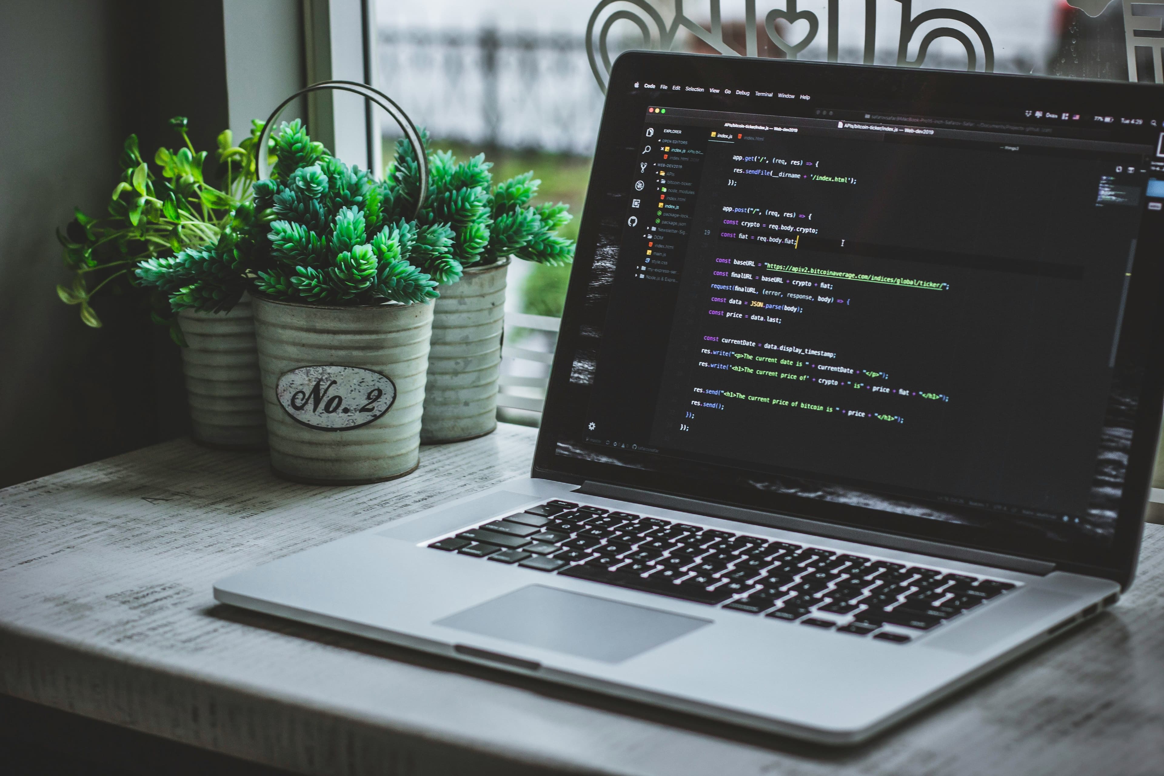 Silver laptop open on a windowsill beside potted succulents, displaying a dark code editor with green and white script