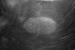 a black and white photo of a fingerprint on a black surface .