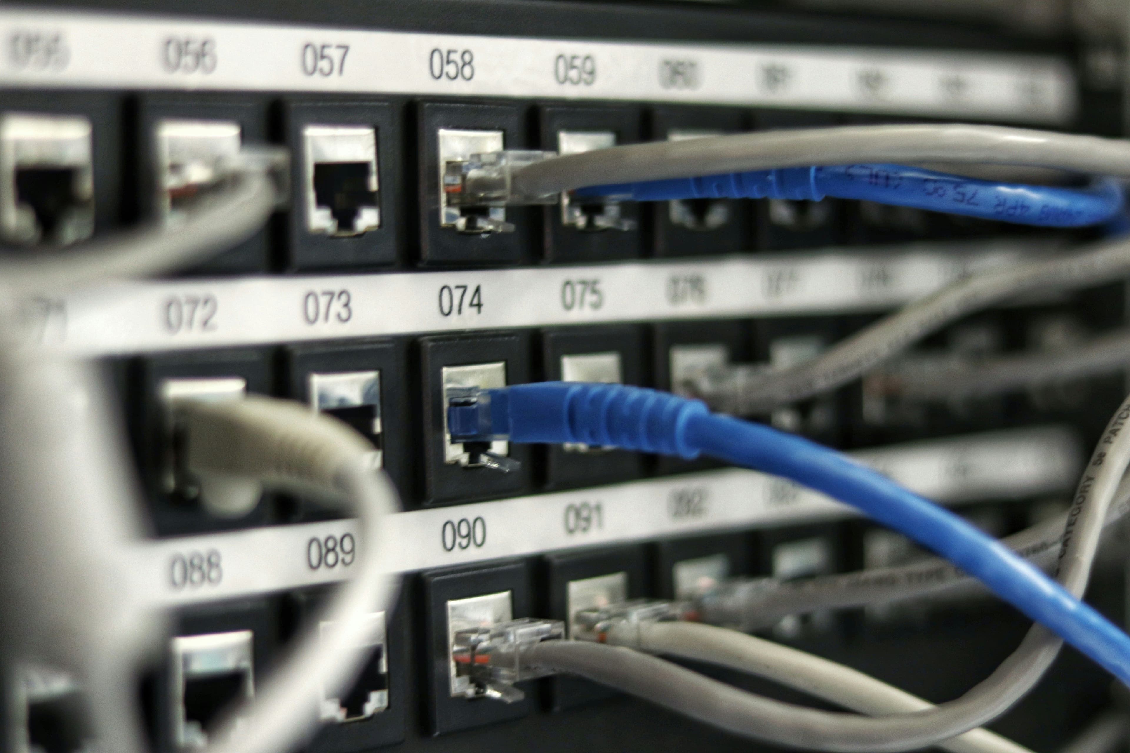 Close-up of a network patch panel with numbered ports and grey and blue Ethernet cables plugged in