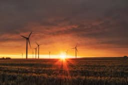 Wind turbines silhouetted across a grain field at sunset under an orange sky